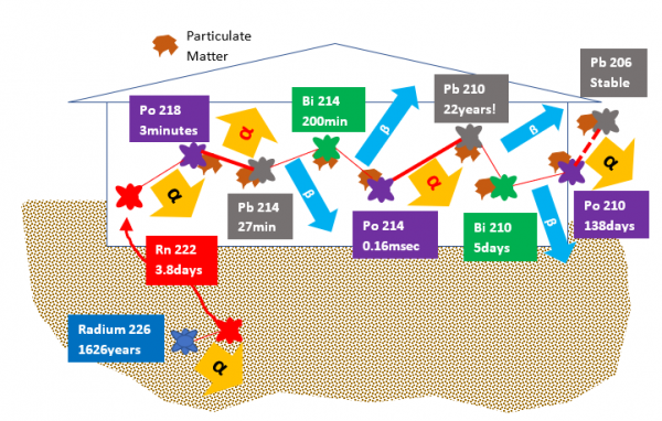 graphic of radon decay, with half-life listed. Path is listed as: Radium 1626 years, Radon 3.8 days, Po 3 minutes, pb214 27 minutes, Bi 200 minutes, Po214 0.16msec, pb210 22 years, bi 5 days, Po210 138 days, pb206 stable.